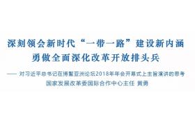 深刻领会新时代“一带一路”建设新内涵 勇做全面深化改革开放排头兵